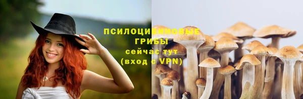 Альфа ПВП Пролетарск
