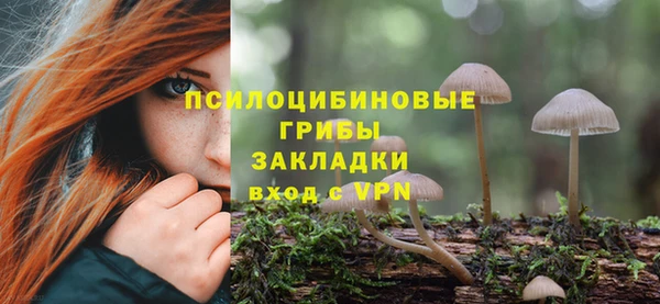 Альфа ПВП Пролетарск
