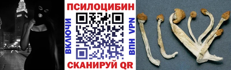 Псилоцибиновые грибы мухоморы  цена наркотик  Петровск-Забайкальский 
